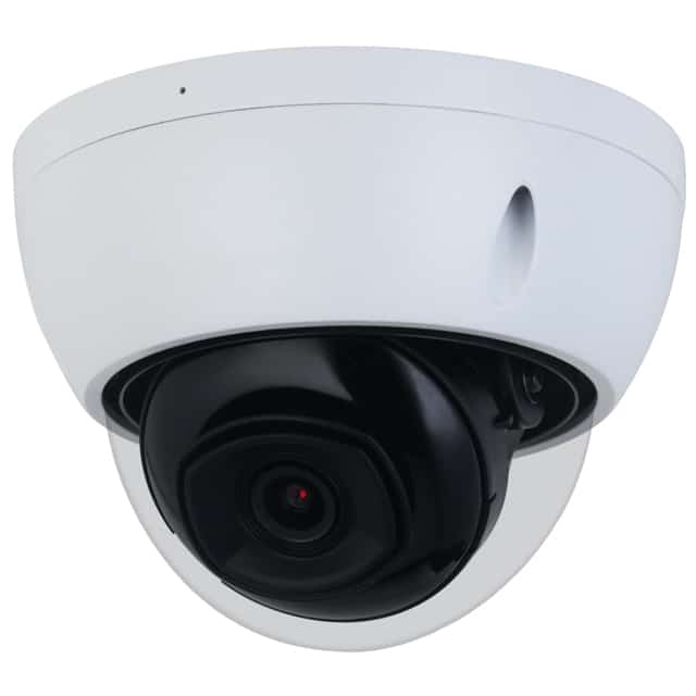 Goliath IP Dome Kamera