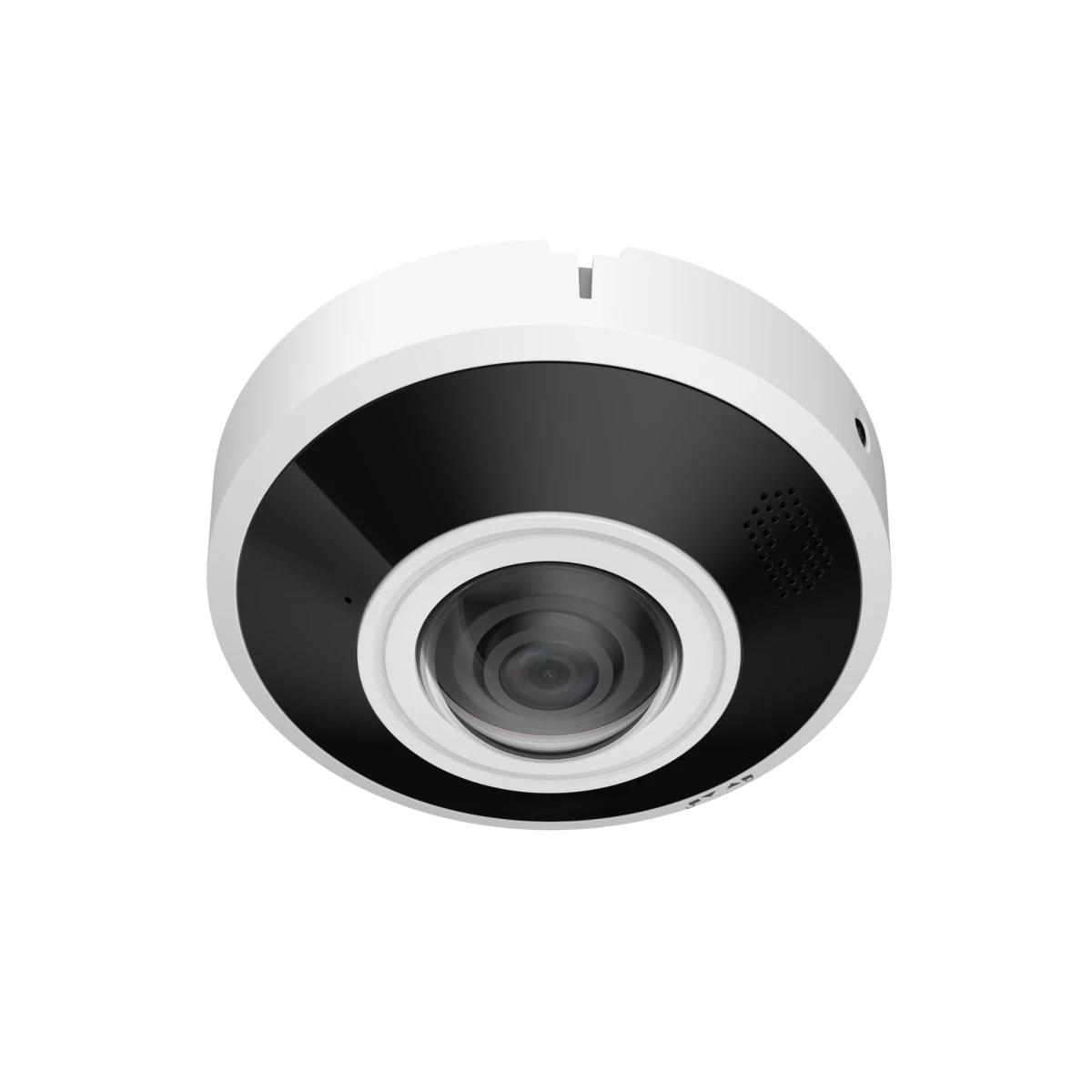 goliath-fisheye-ip-dome-kamera-6-mp-16mm-2-way-audio-wdr-15-ir-ivs-poe-pro-serie-av-ip500v2_3 Goliath Fish IP Dome Kamera
