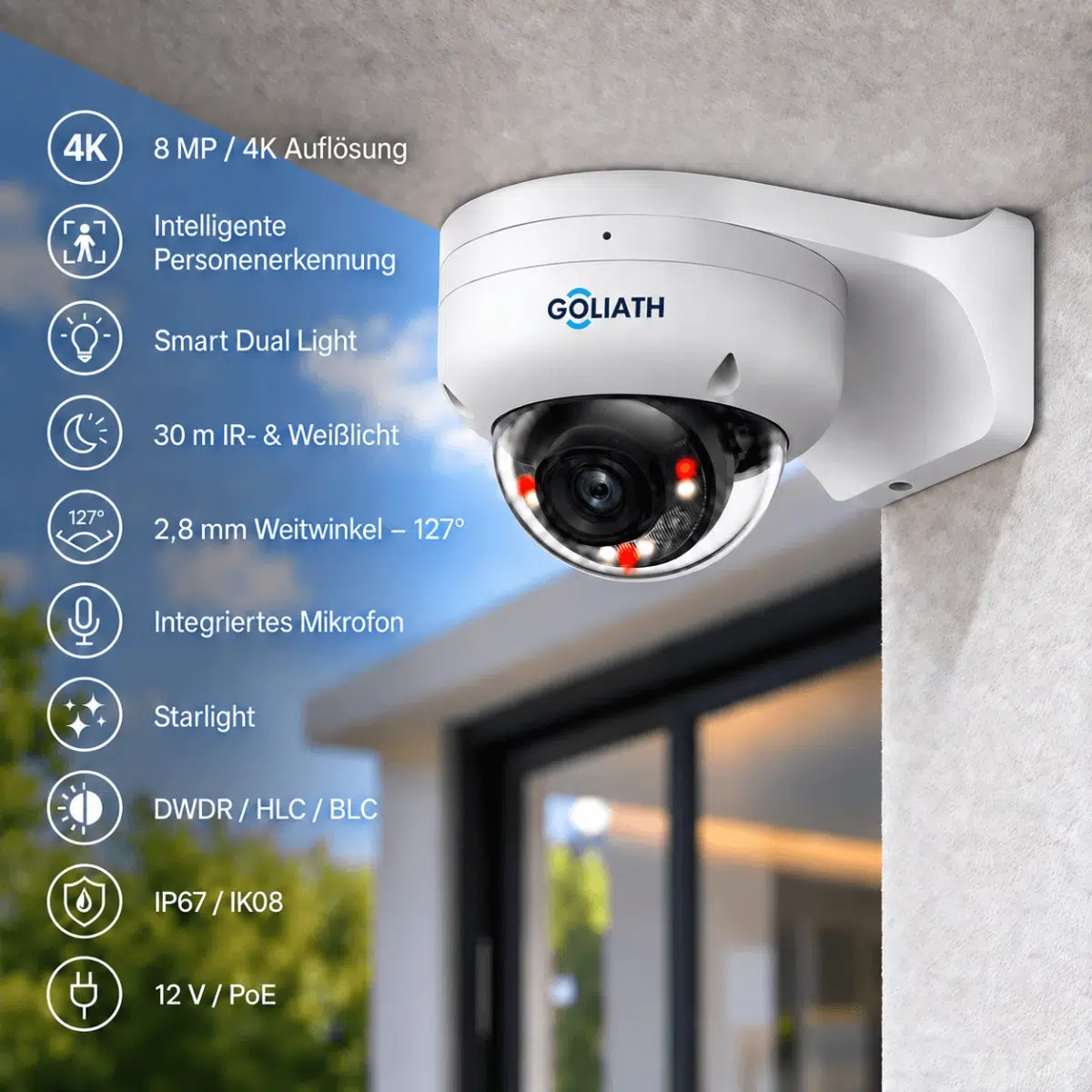 Goliath IP Dome Kamera