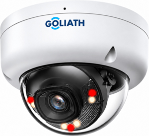 Goliath IP Dome Kamera